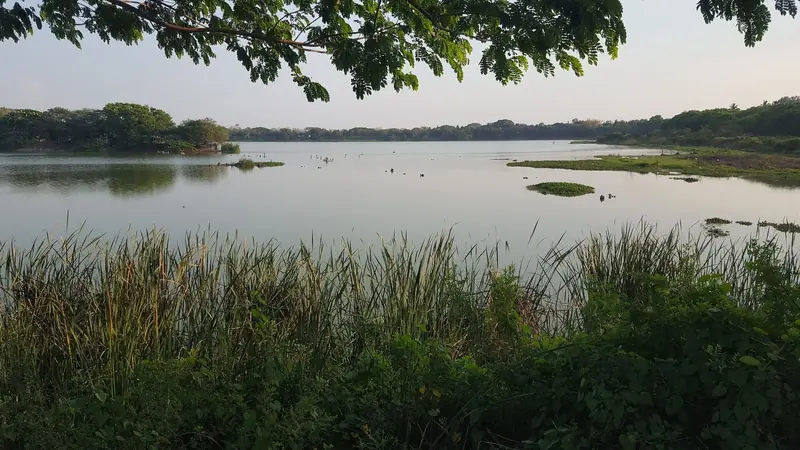 Kukkarahalli Lake